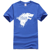 white tshirt  winter coming