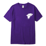 Stark ttshirt