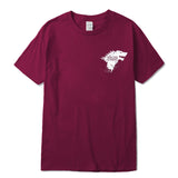 Stark ttshirt