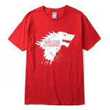 Men T-shirt