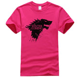 Men T-shirt