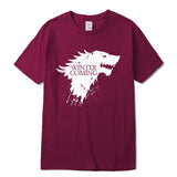 Men T-shirt